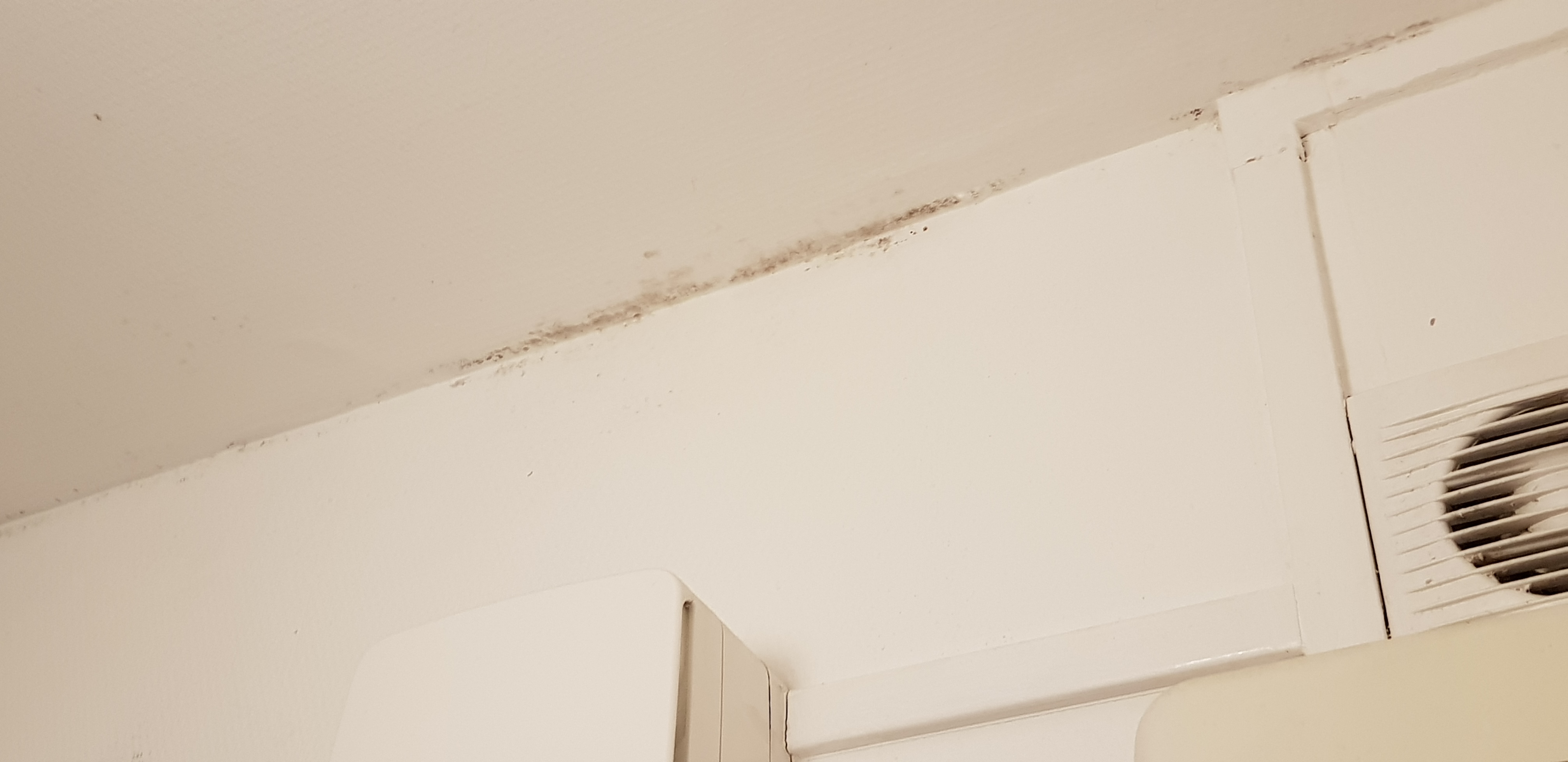 Photo n° 1 de l'avis de Giuseppe.o fait le 27/08/2018 à 22:16