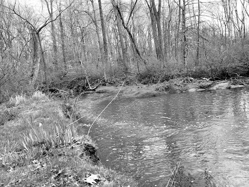 Botanical Garden «Beech Creek Botanical Garden & Nature Preserve», reviews and photos, 11929 Beech St NE, Alliance, OH 44601, USA