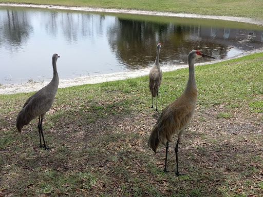 Water Park «Trailblazer Park», reviews and photos, 550 Rantoul Ln, Lake Mary, FL 32746, USA