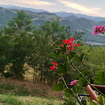 Photo n°4 de l'avis de Maria.p fait le 14/07/2017 à 09:51 sur le  Antica Hostaria Rocca Di Badolo à Badolo