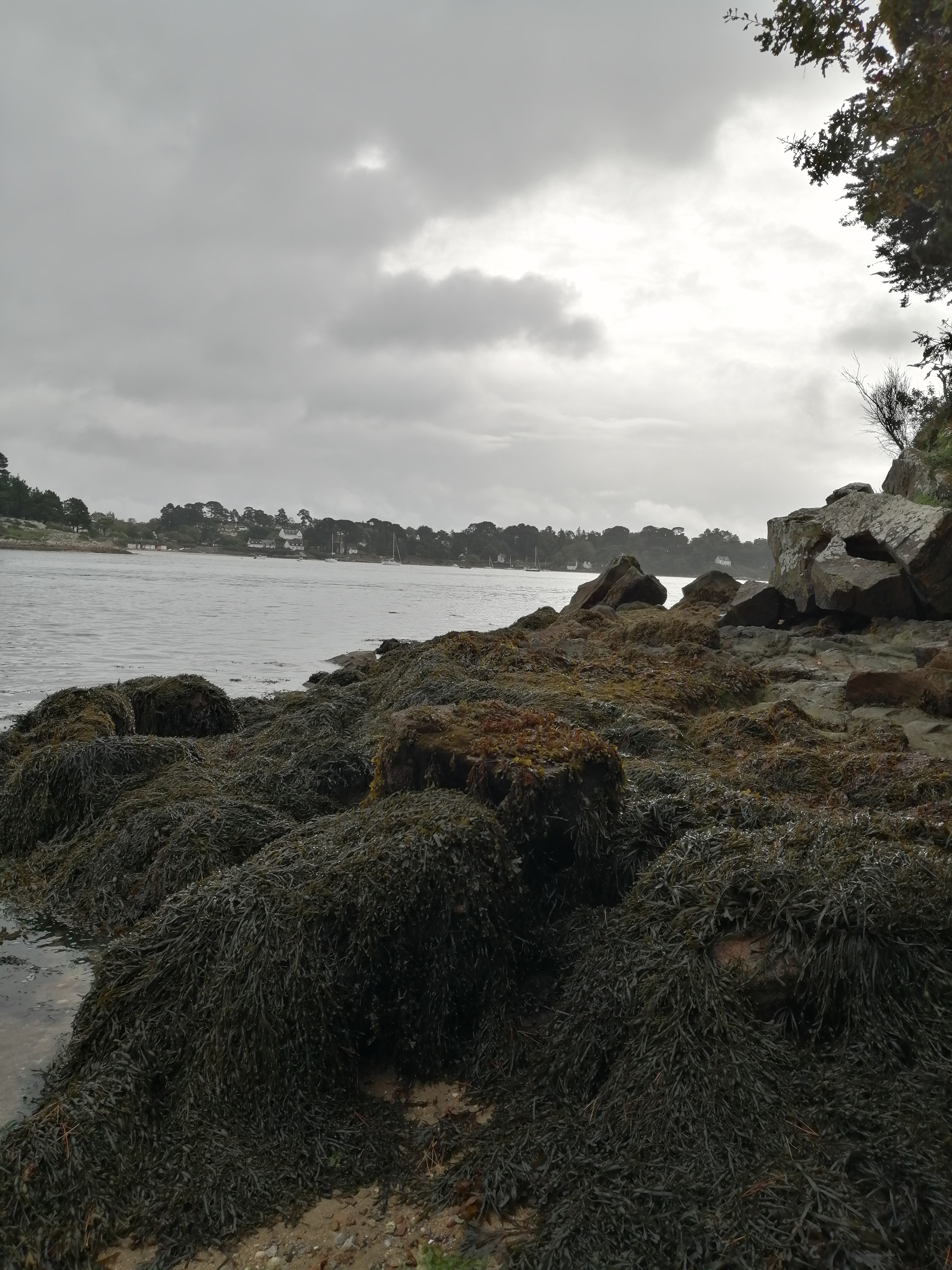 Photo n° 2 de l'avis de Coupeau.o fait le 08/10/2019 à 13:52