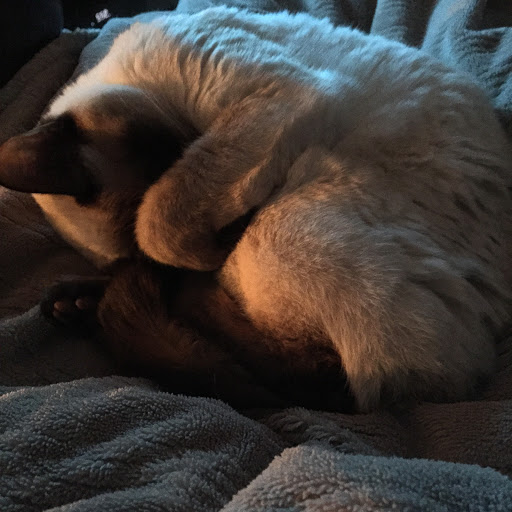 1746 Pine Hollow Rd, McKees Rocks, PA 15136, USA