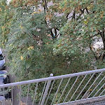 Photo n°2 de l'avis de Thilo.e fait le 01/10/2023 à 06:19 sur le  Hotel Zeil à Frankfurt