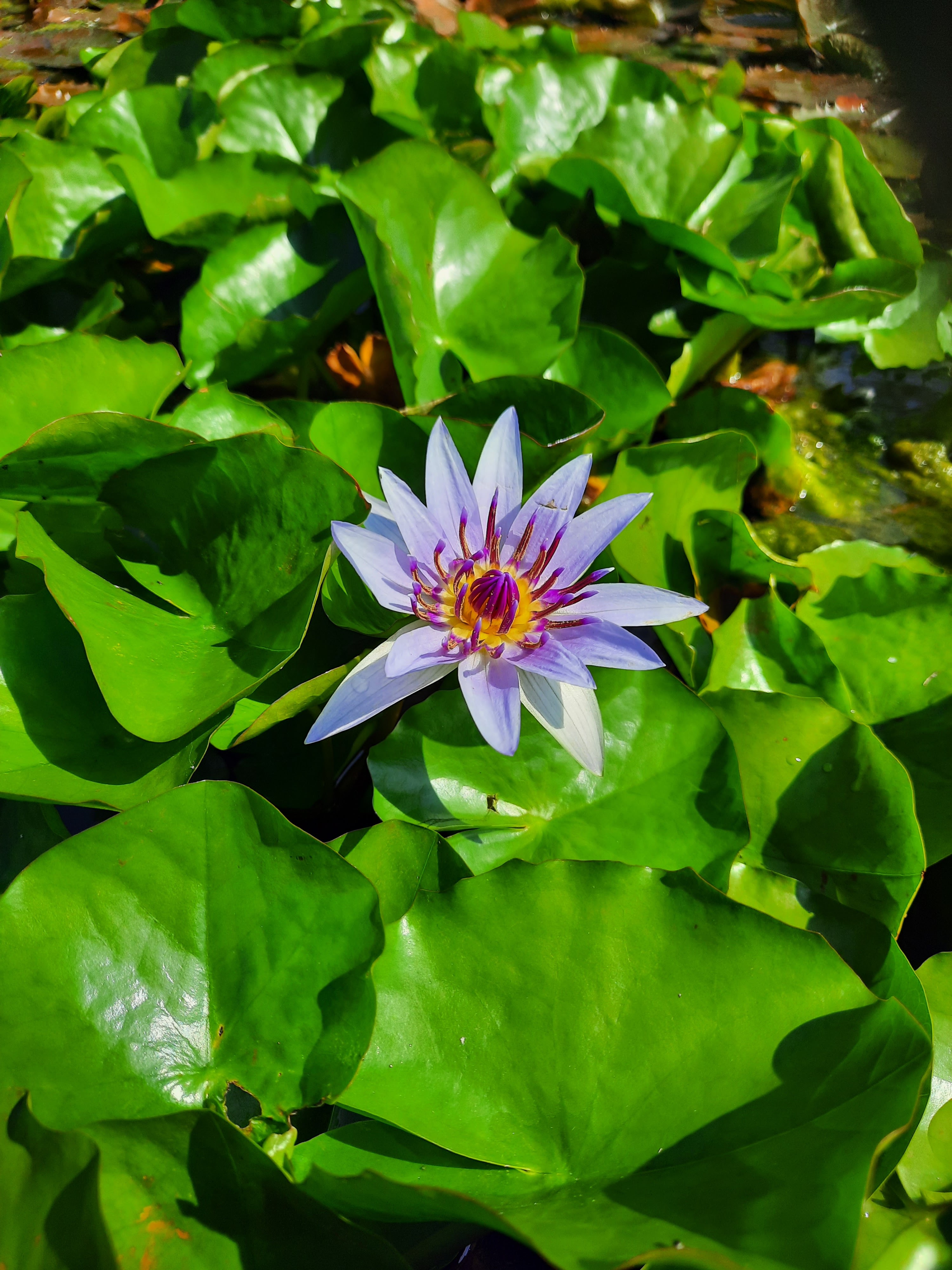 Photo n° 2 de l'avis de Lexis.. fait le 06/09/2022 à 16:22