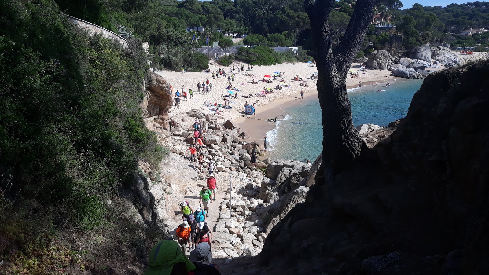 Zdjęcie Plaża Cala Gogo z przestronna zatoka