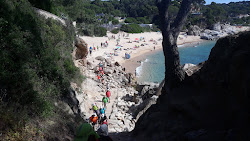 Photo de Plage de Cala Gogo avec plusieurs baies spacieuses
