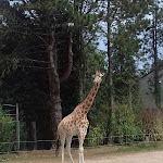 Photo n° 5 de l'avis de ALEX. fait le 09/08/2018 à 09:00 pour Zoo de Jurques à Dialan sur Chaîne