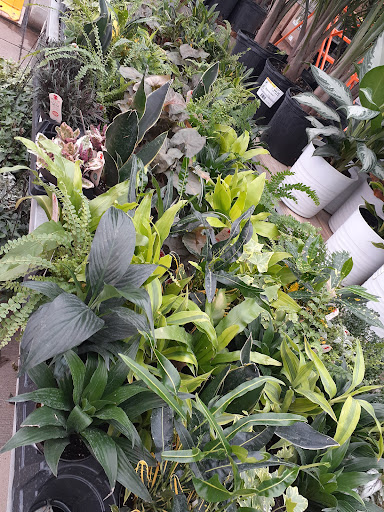 Home Improvement Store «The Home Depot», reviews and photos, W 12871 I-10, San Antonio, TX 78249, USA