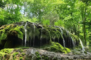 Sainte-Baume Natural Regional Park image