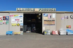 LLANDILO PRODUCE - Stockfeed Pet Food & Supplies image