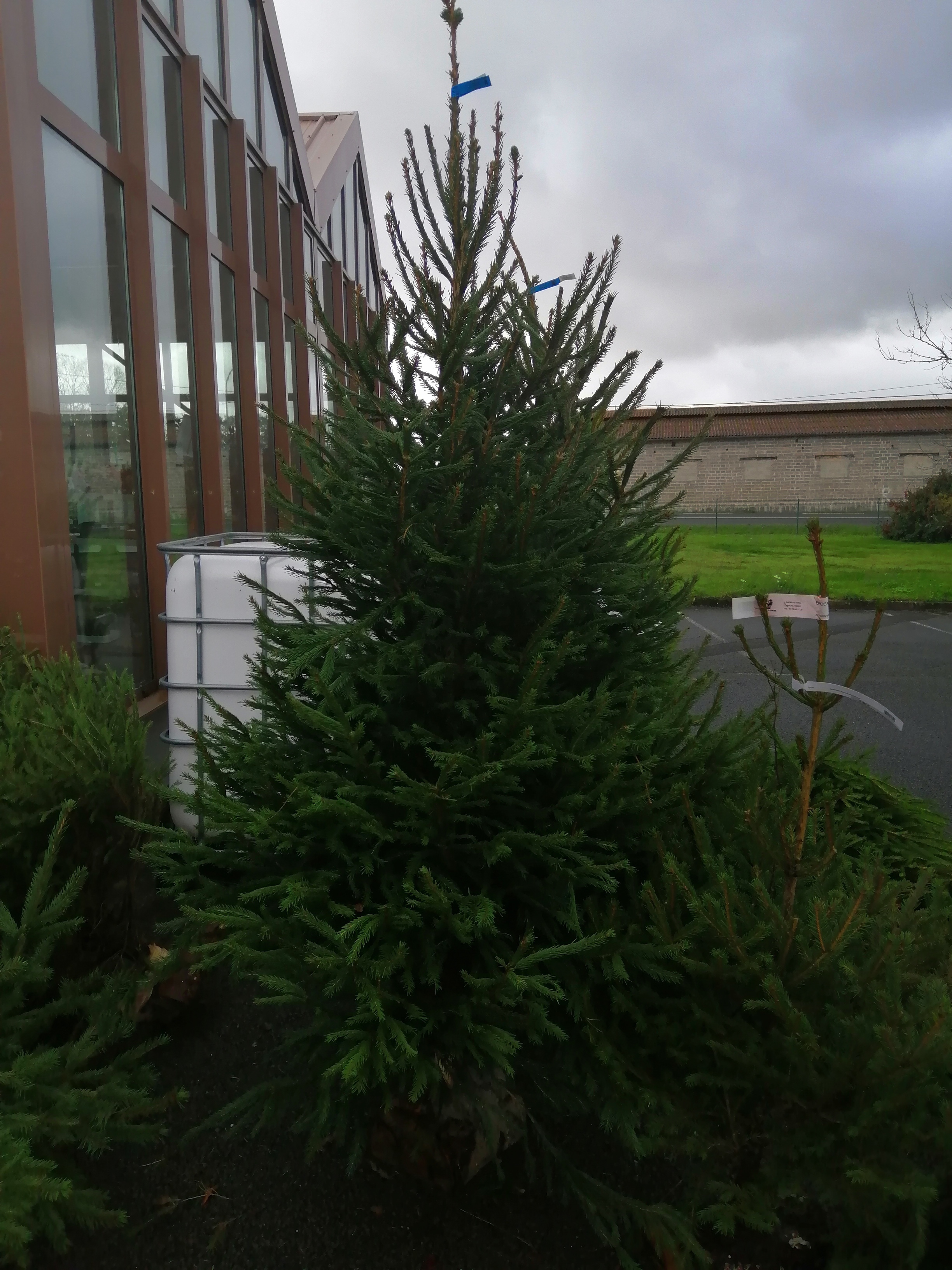 Photo n° 3 de l'avis de sarah.r fait le 01/12/2019 à 07:13
