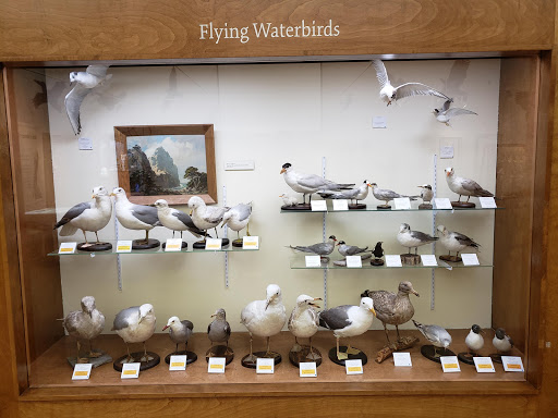 Museum «Pacific Grove Museum of Natural History», reviews and photos