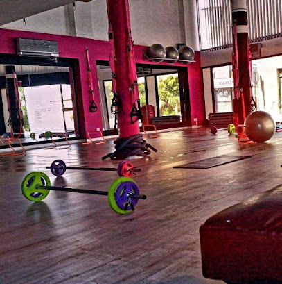 STAY FIT PERSONAL TRAINING STUDIO