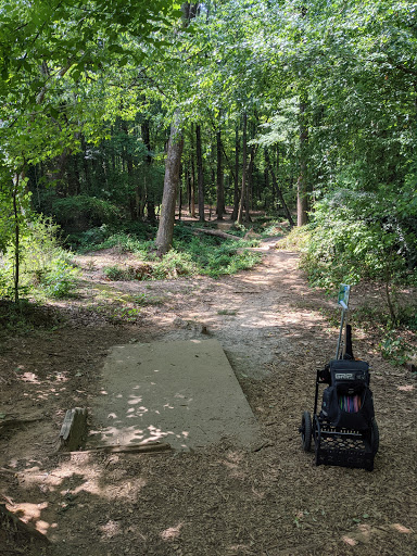 Wills Park Disc Golf Course image 3