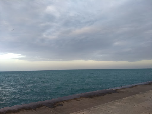 Grocery Store «Belmont Harbor Market», reviews and photos, 3170 N Sheridan Rd, Chicago, IL 60657, USA