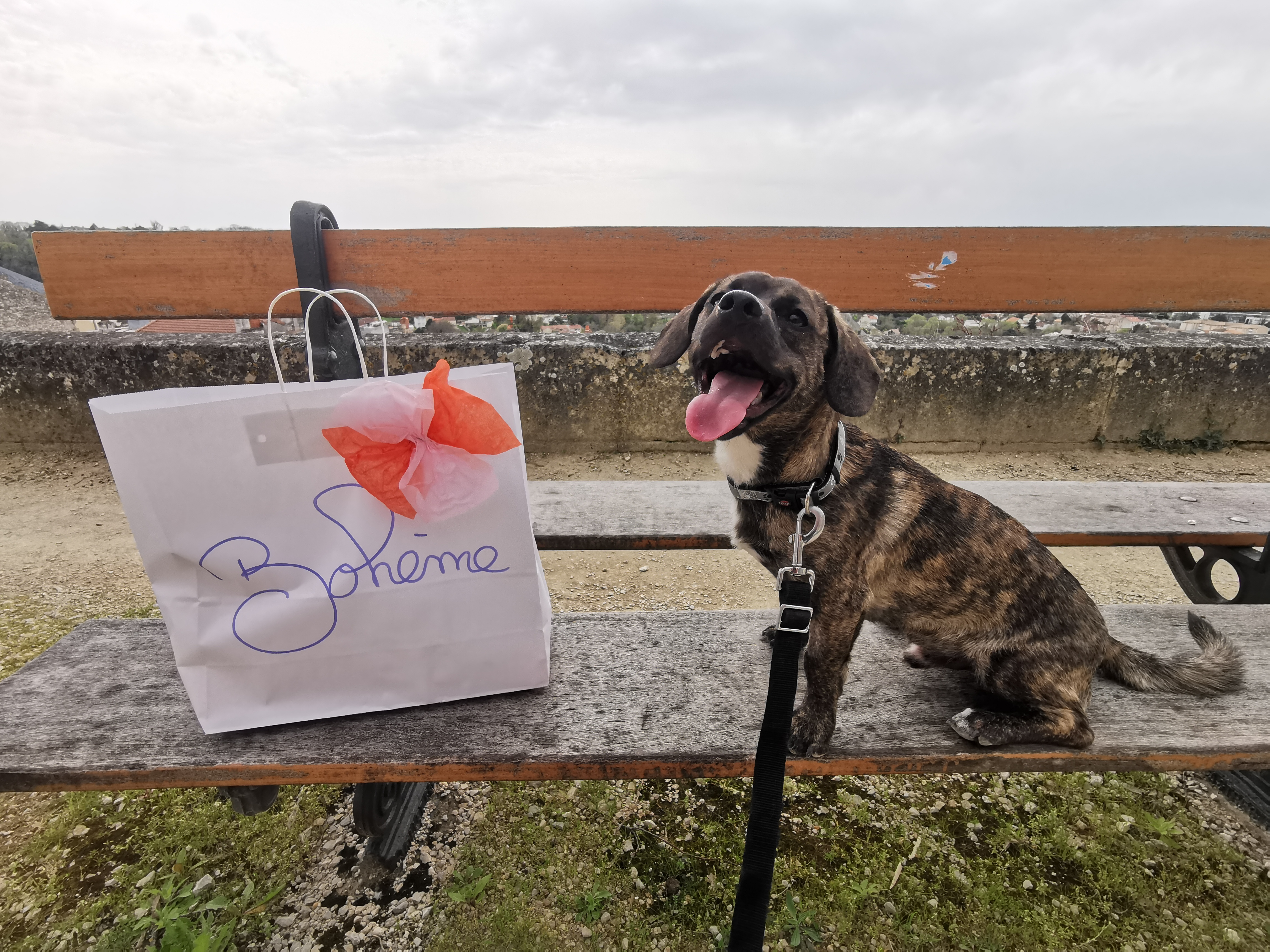 Photo n° 5 de l'avis de Amandine.a fait le 18/04/2023 à 19:26