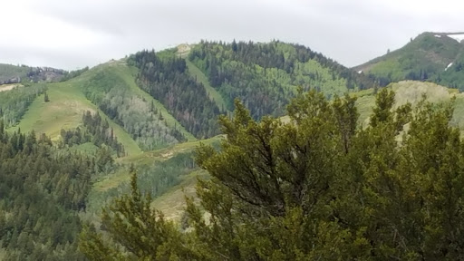 Tourist Attraction «Utah Olympic Park», reviews and photos, 3419 Olympic Pkwy, Park City, UT 84098, USA