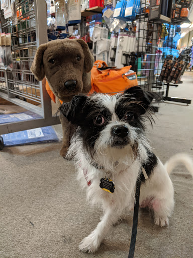 Camping Store «JL Waters», reviews and photos, 109 N College Ave, Bloomington, IN 47404, USA