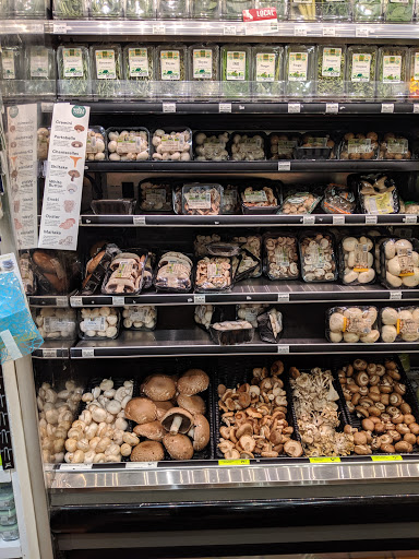 Shopping Mall «Redondo Shores Shopping Center», reviews and photos, 417 Pacific Coast Hwy, Redondo Beach, CA 90277, USA