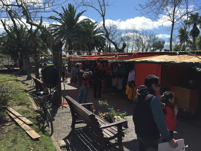 Opiniones de Paseo de Compras Feria (Plaza Ansina) en Rocha - Tienda de ropa