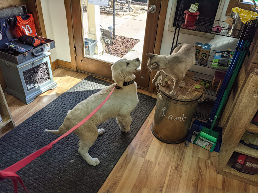 Pet Store «The Green Paw and Spaw», reviews and photos, 908 12th St, Golden, CO 80401, USA