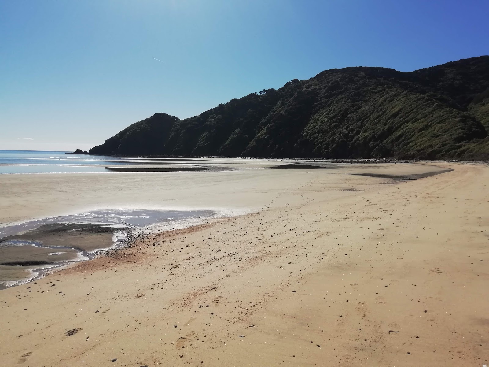 Photo of Wainui Beach with partly clean level of cleanliness