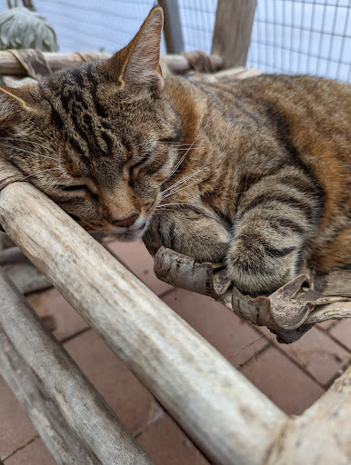 Botanical Garden «Beech Creek Botanical Garden & Nature Preserve», reviews and photos, 11929 Beech St NE, Alliance, OH 44601, USA