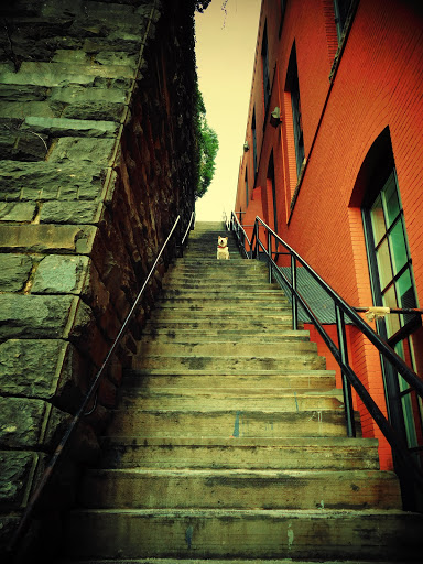 Tourist Attraction «