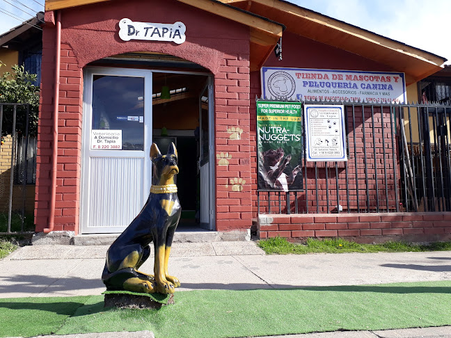Opiniones de Tienda De Mascotas Dr. Tapia en Puente Alto - Veterinario