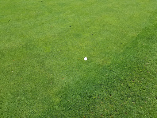 Park «West Seattle Golf Course», reviews and photos, 4600 35th Ave SW, Seattle, WA 98126, USA