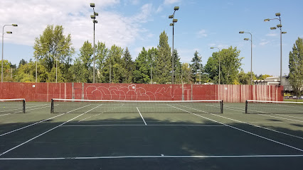 Meadowbrook Park Tennis Courts (6)