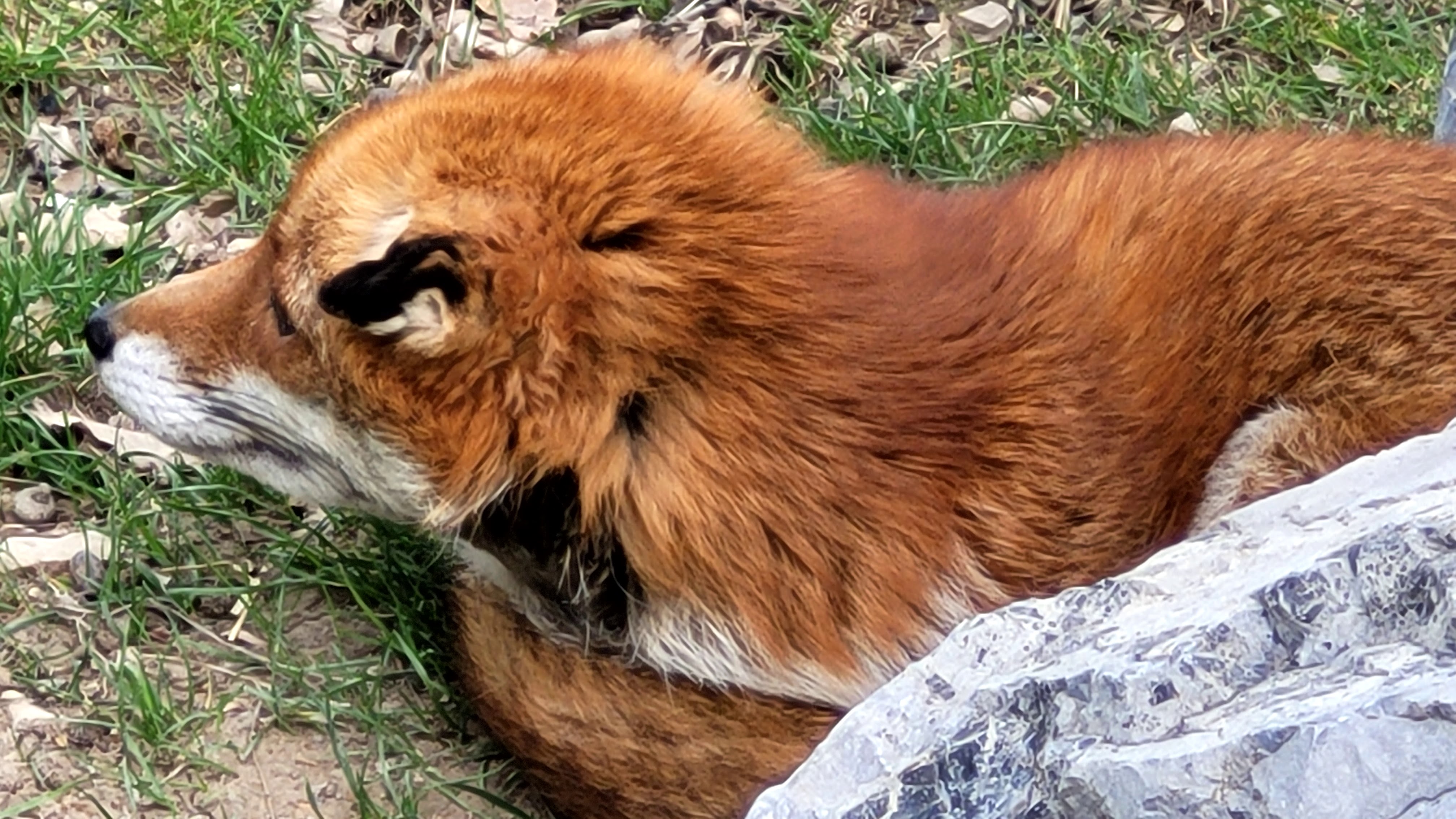 Photo n° 31 de l'avis de PASSIONS.O fait le 24/05/2023 à 09:56