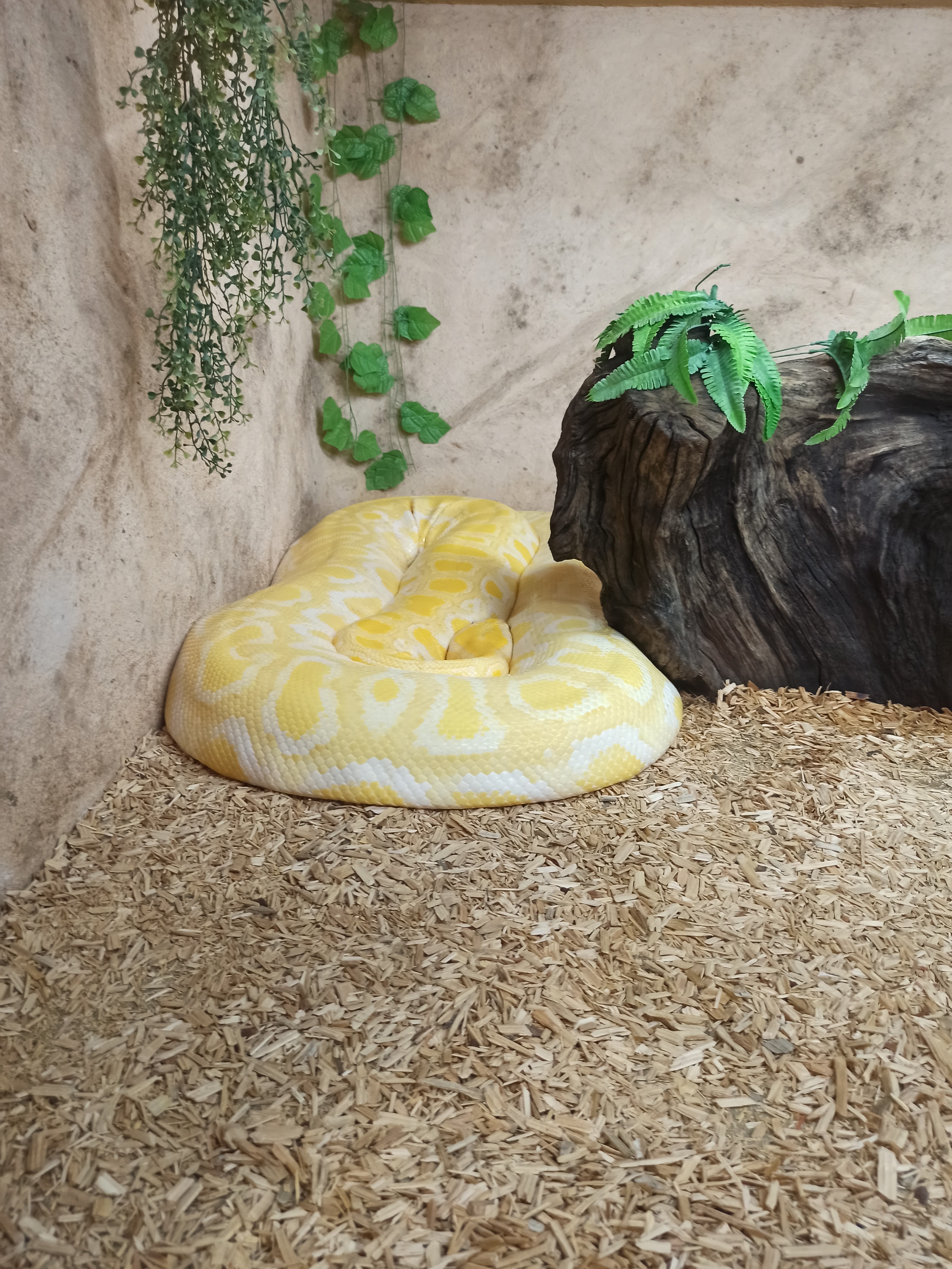 Photo n° 2 de l'avis de Thierry.e fait le 10/07/2023 à 16:02