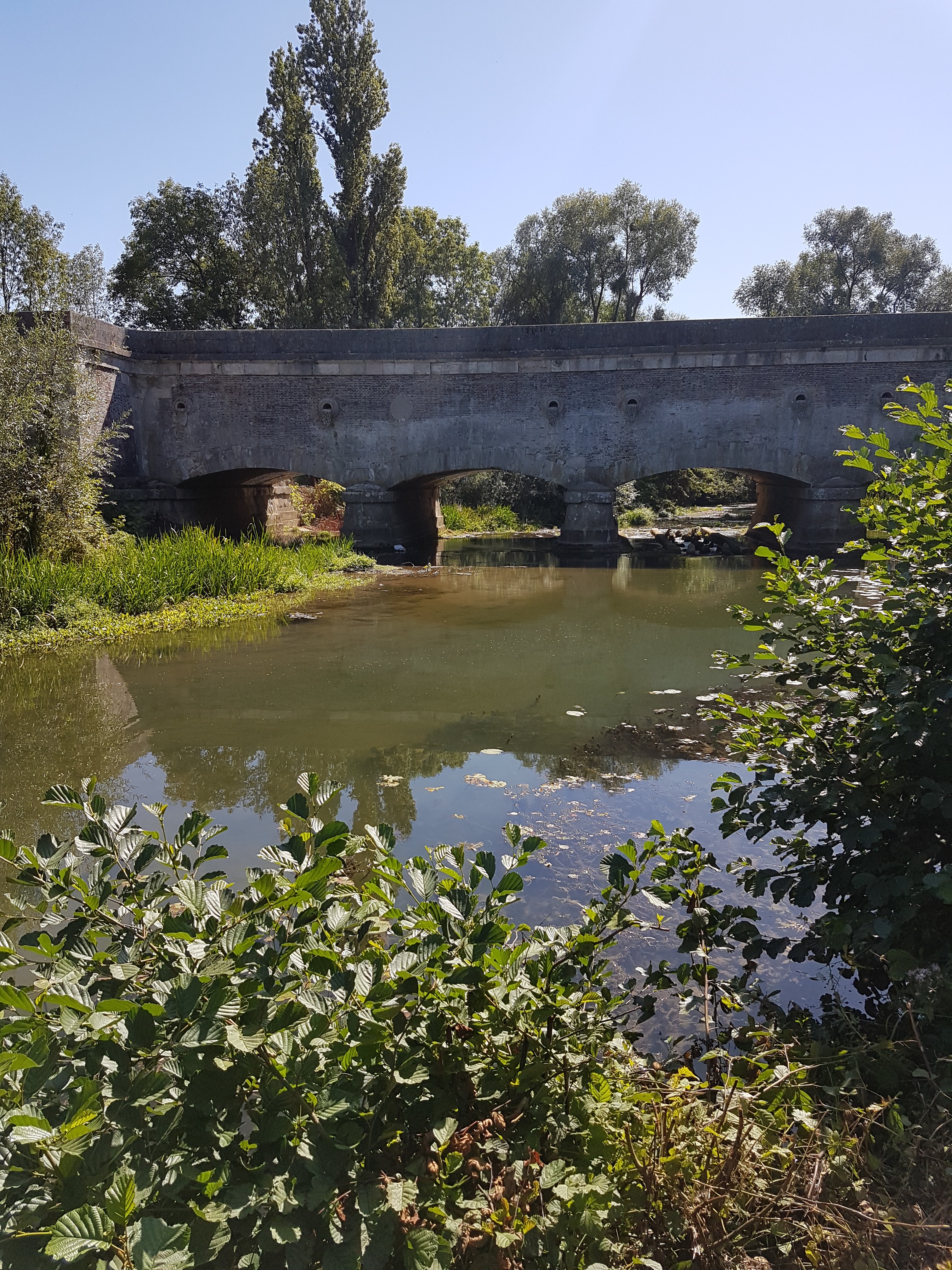 Photo n° 9 de l'avis de Eric.2 fait le 03/09/2019 à 18:41