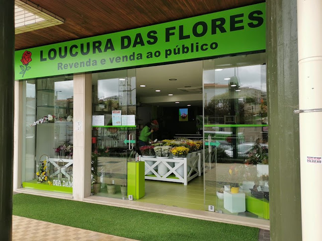 Loucura das Flores - loja Felgueiras