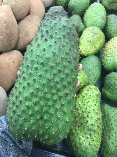 Asian Grocery Store «Sunseng Supermarket», reviews and photos, 5201 NJ-38 #101, Merchantville, NJ 08109, USA