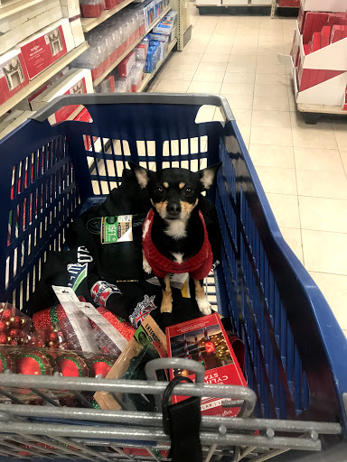 Home Goods Store «Christmas Tree Shops», reviews and photos, 5450 Brandywine Pkwy, Wilmington, DE 19803, USA