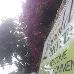 Photo n°15 de l'avis de Nicolina.s fait le 08/06/2019 à 22:26 sur le  Hotel Leopold à Moneglia