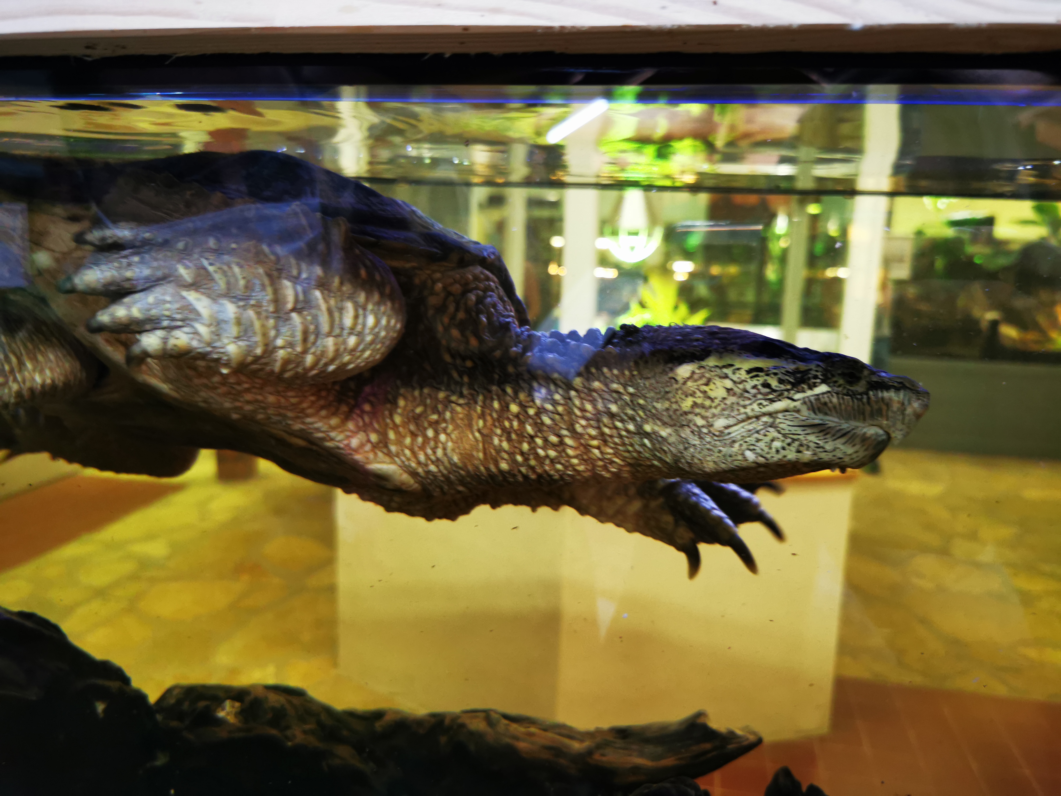 Photo n° 4 de l'avis de Aurelie.e fait le 03/08/2021 à 14:30