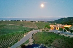Manucci Winery- Wild Coyote B&B (Official Site) image