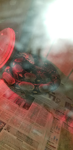 Pet Supply Store «Living Things», reviews and photos, 3437 PA-309, Orefield, PA 18069, USA