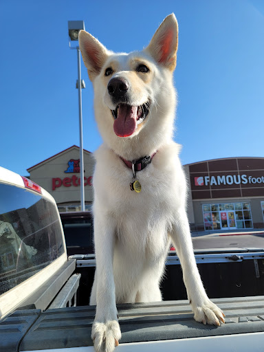 Pet Supply Store «Petco Animal Supplies», reviews and photos, 911 N Stratford Rd c, Moses Lake, WA 98837, USA