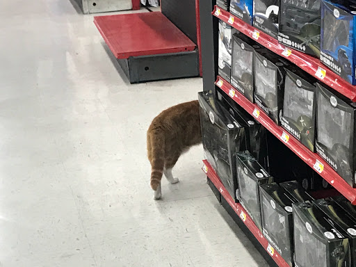 Hardware Store «Do it Center», reviews and photos, 3775 Thousand Oaks Blvd, Westlake Village, CA 91362, USA