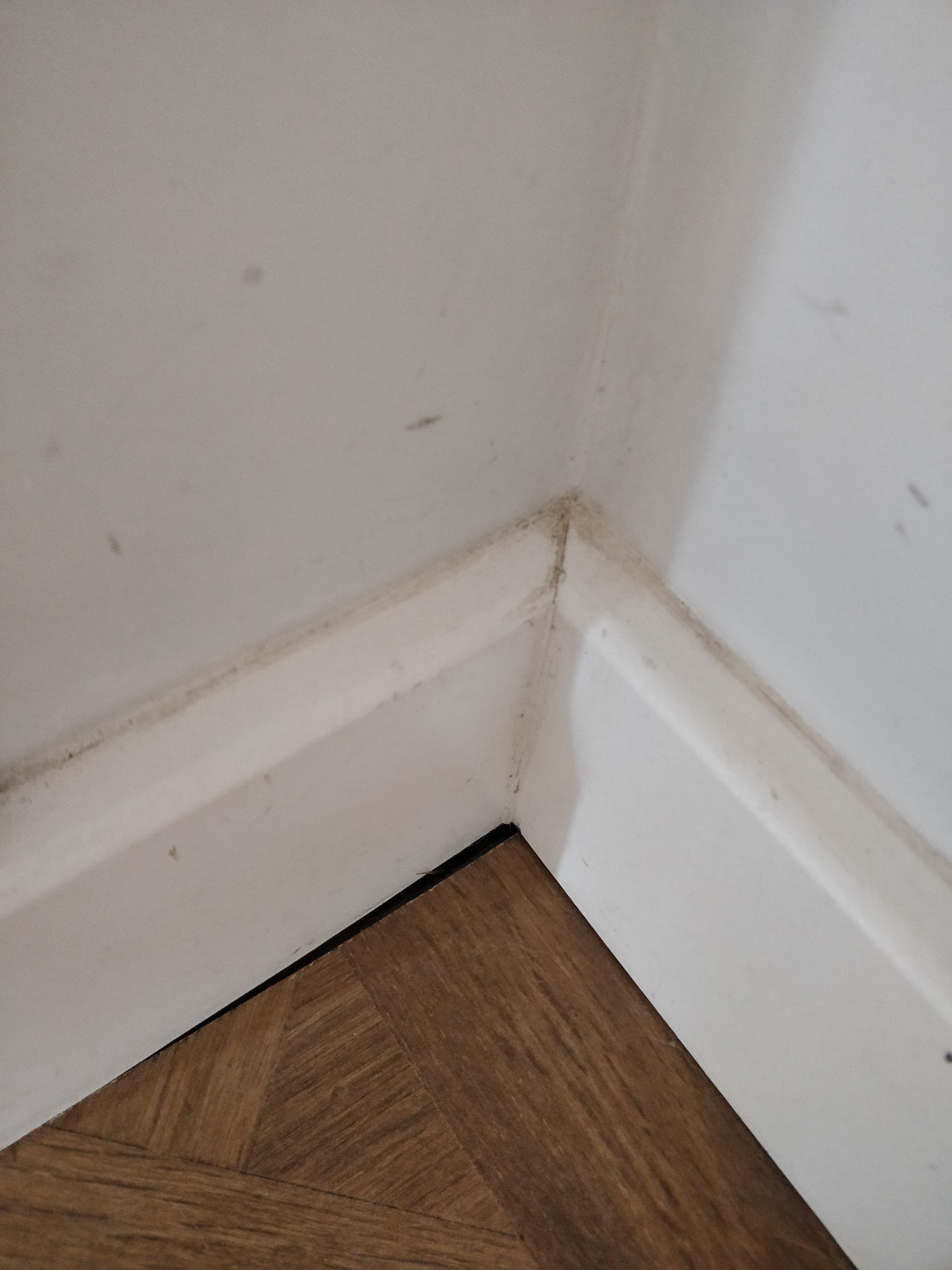 Photo n° 5 de l'avis de thomas.o fait le 12/07/2023 à 15:41