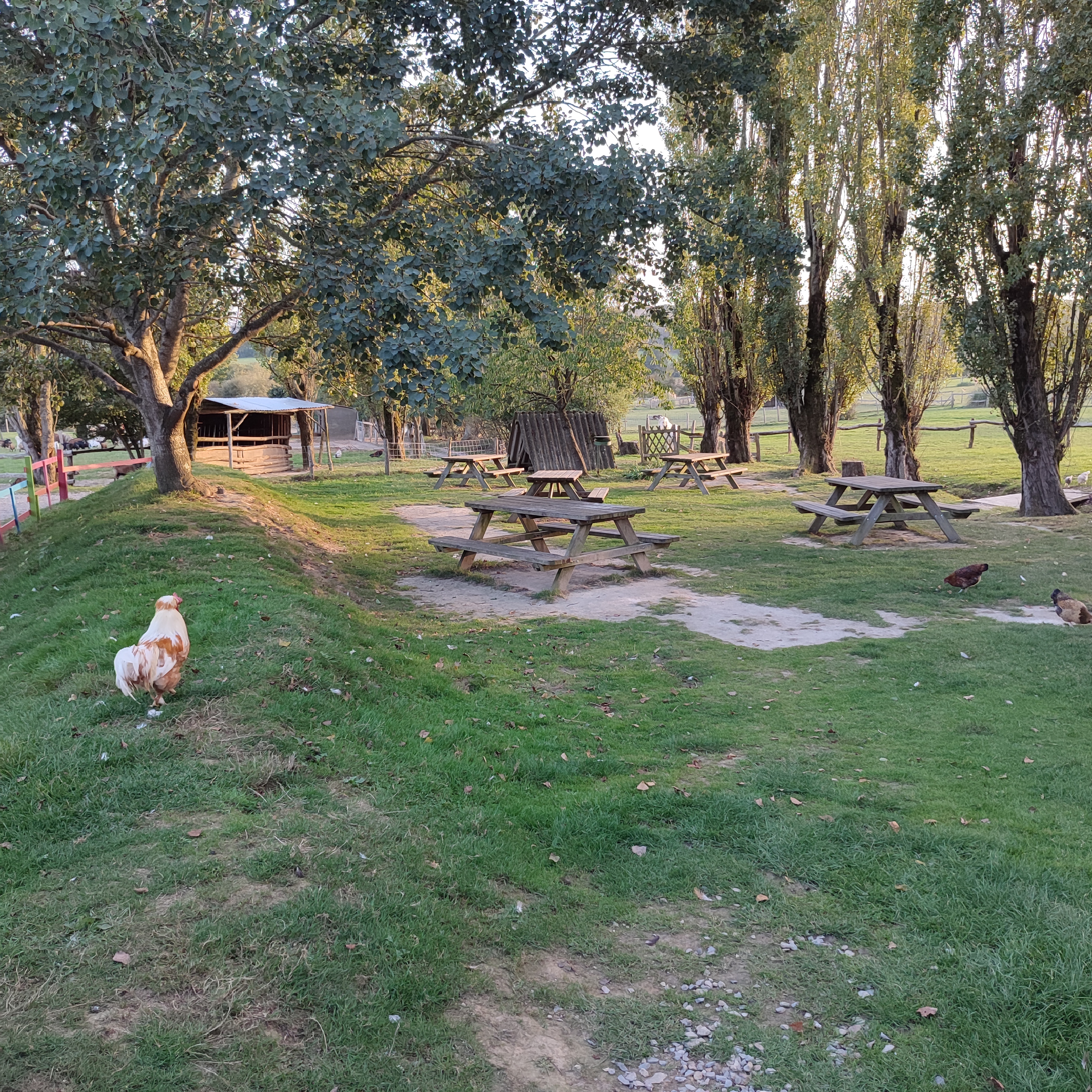 Photo n° 2 de l'avis de Soirée.o fait le 07/10/2023 à 17:06