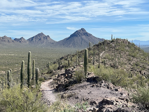 Brown Mountain Picnic Area