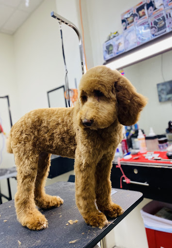 PuppyLand Pet Grooming