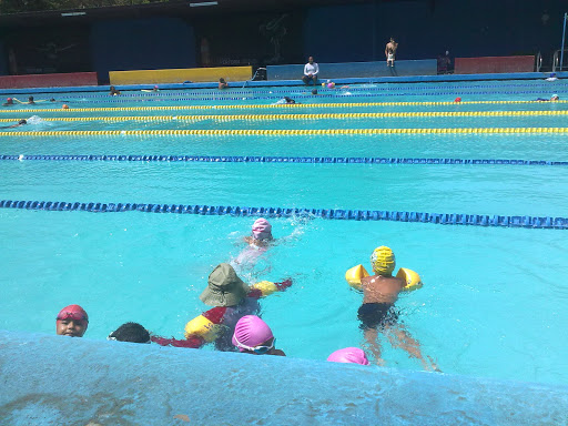 Piscina olimpica Barracudas