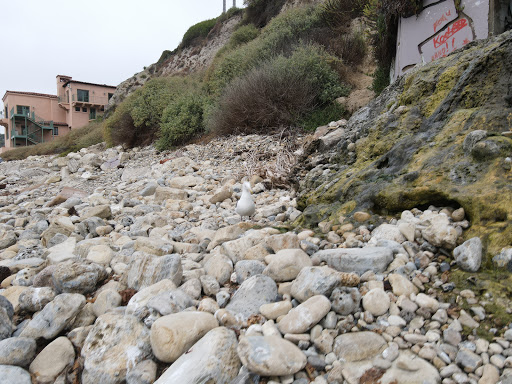 Club «Palos Verdes Beach & Athletic Club», reviews and photos, 389 Paseo Del Mar, Palos Verdes Peninsula, CA 90274, USA