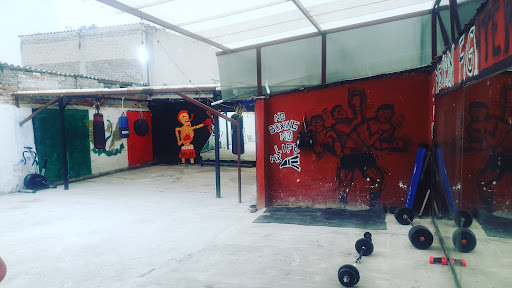 Mexican Fighters Boxing Club